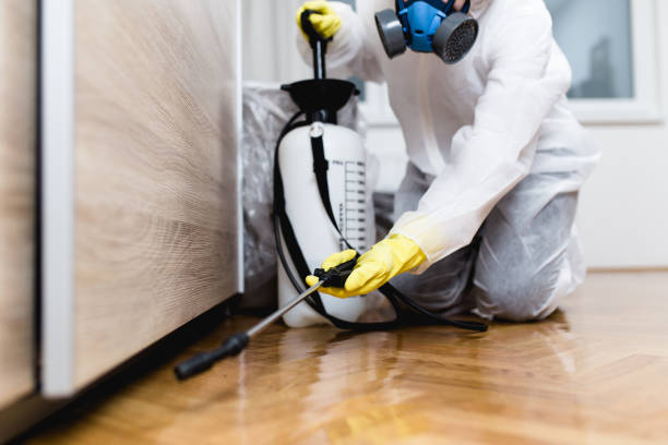 Best Flea Control Services  in Maitland, FL