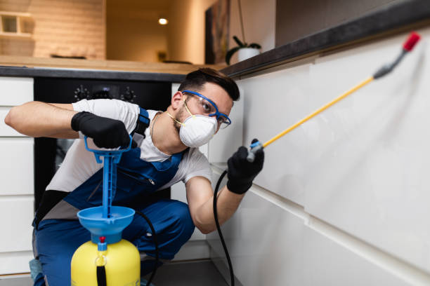 Best Emergency Pest Control  in Maitland, FL