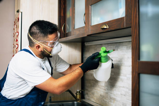 Professional Pest Control in Maitland, FL