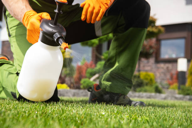 Flea Control Services in Maitland, FL