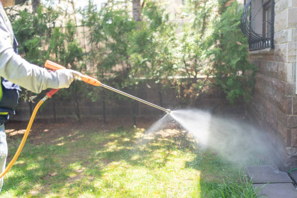 Best Wasp Removal Services  in Maitland, FL
