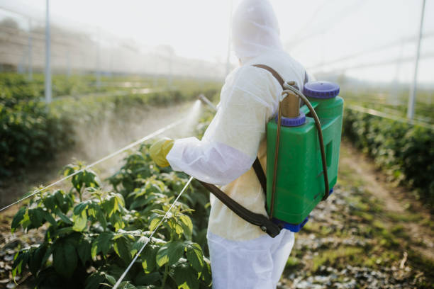 Best Wildlife Control Services  in Maitland, FL